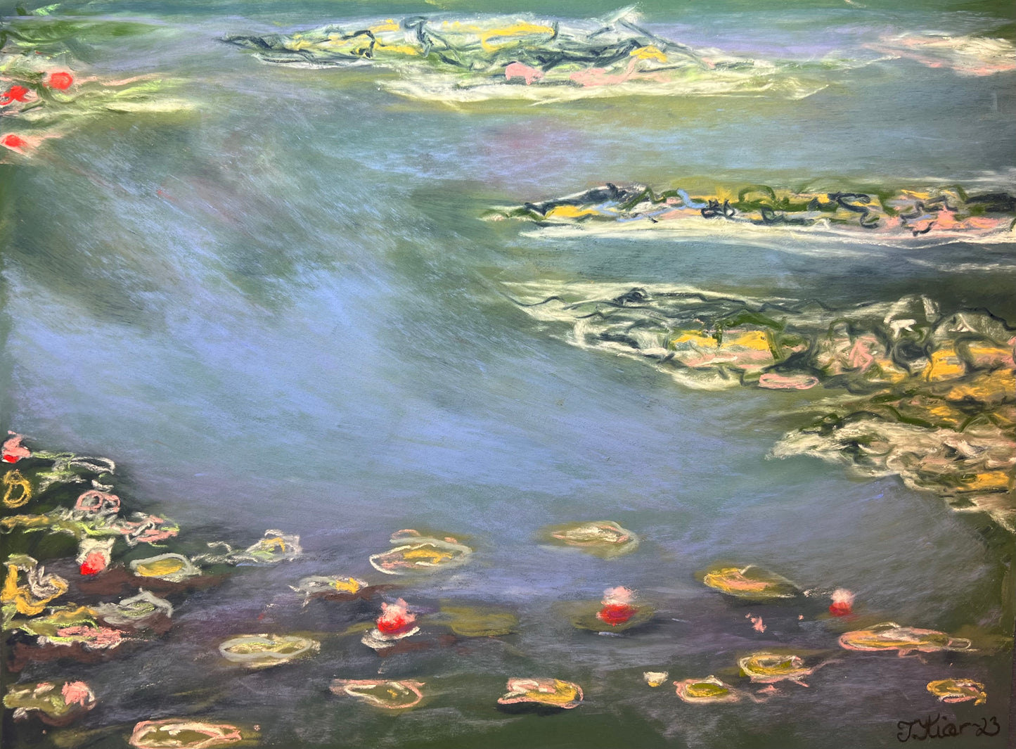 Water lilies 30x40cm