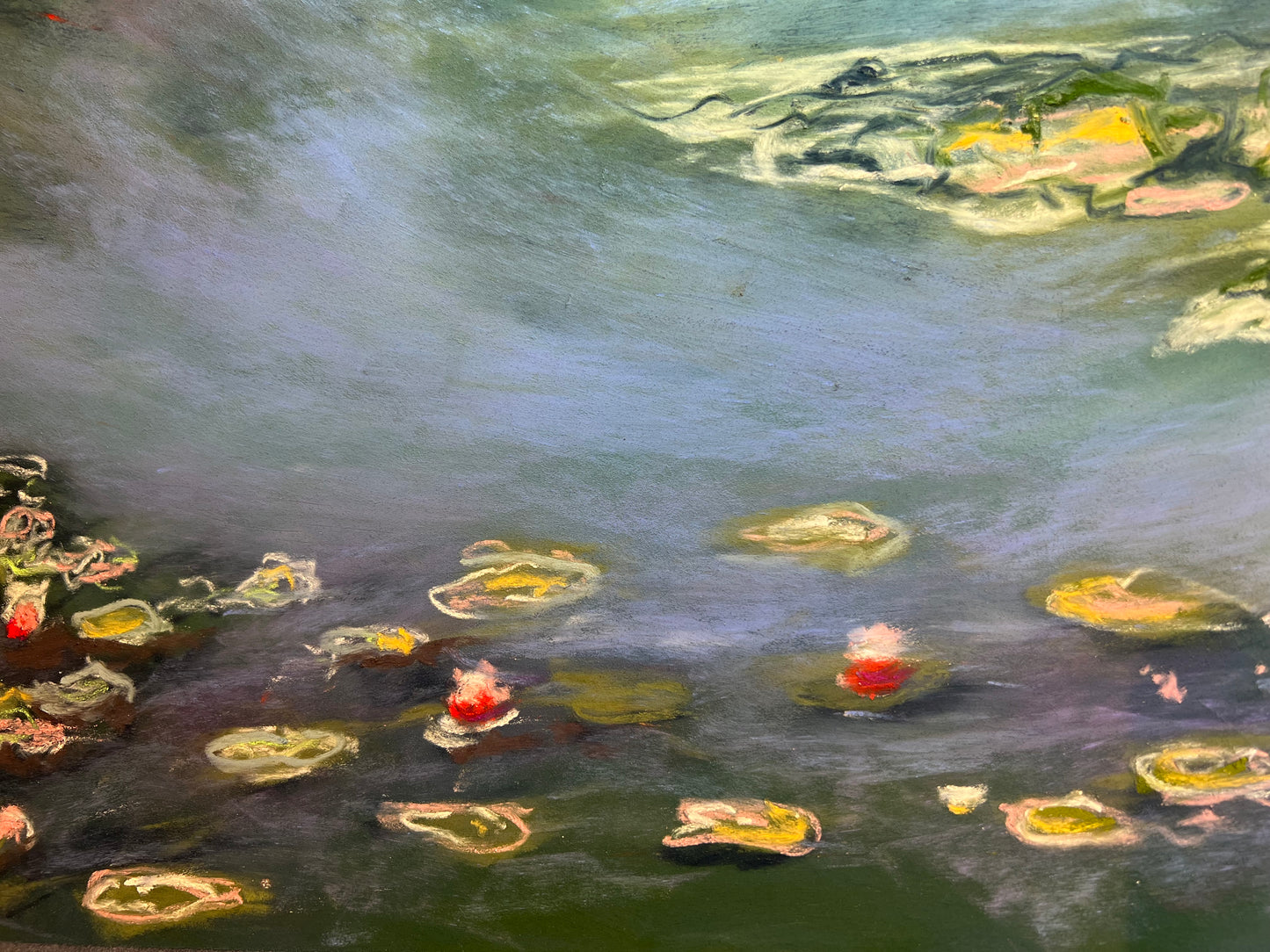 Water lilies 30x40cm